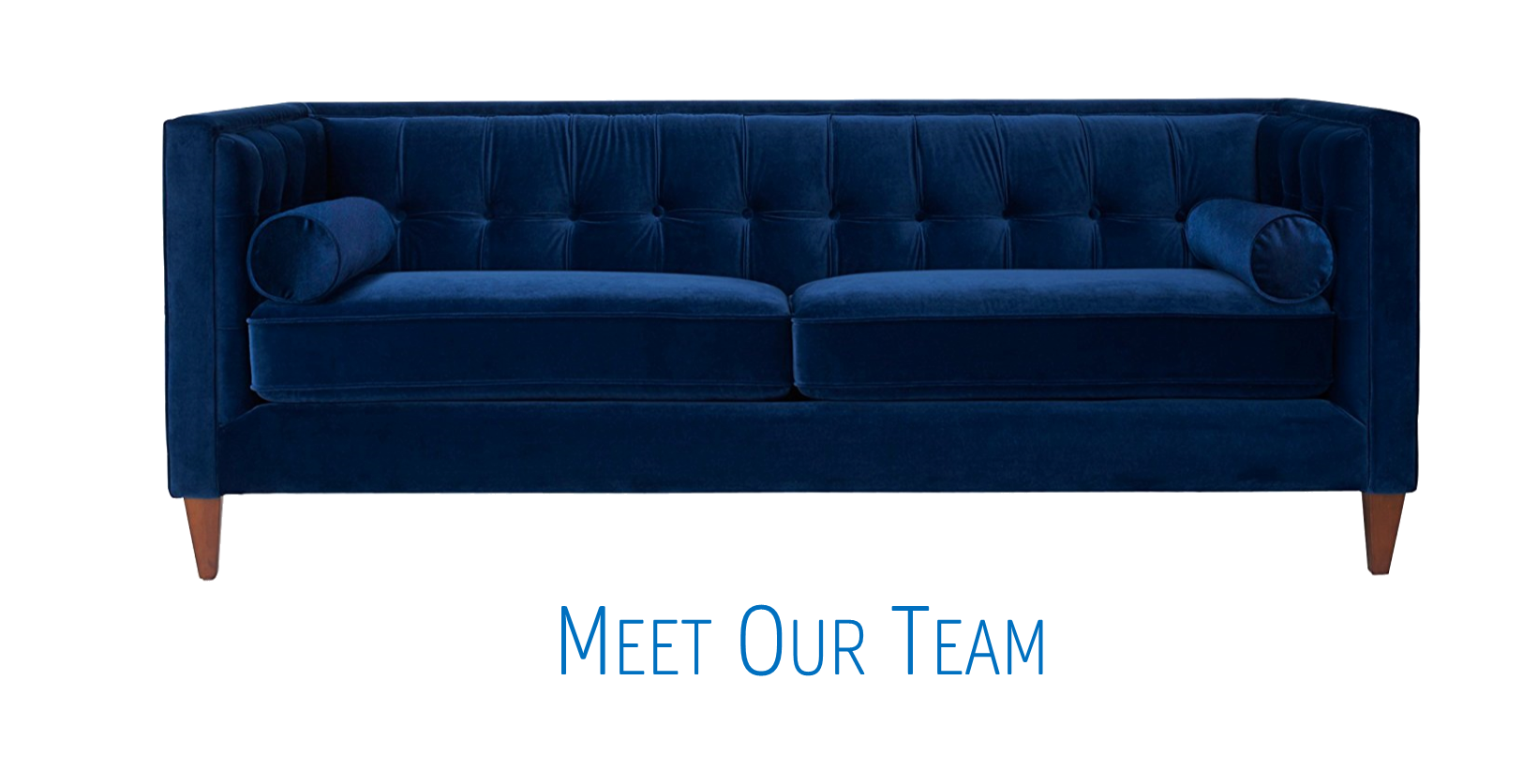 Meet The Team